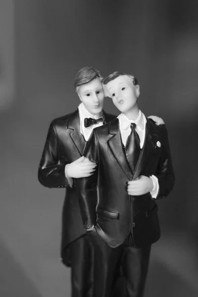 Kuchendeckel Homosexuell Hochzeitspaar Von Zwei Männlichen Bräutigamen Halten Romantische Ehe — Stockfoto