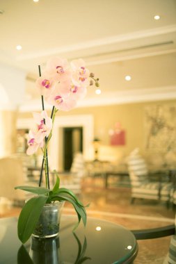 Konuklar gelmeden önce lüks beş yıldızlı otel düğün evlilik parti güzel çiçekler.