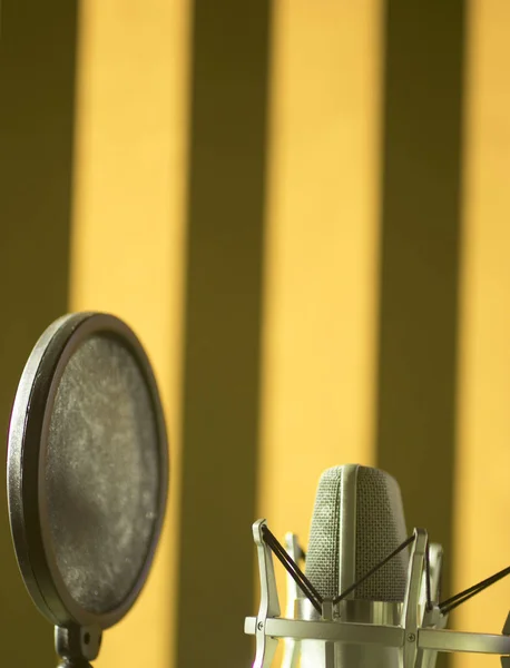 Ses Stüdyo Büyük Diyafram Ses Mikrofon Dublaj Şarkı Aletleri Için — Stok fotoğraf