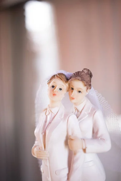 Cake Topper Lesbian Wedding Couple Two Male Brides Holding Romantic — Stock Photo, Image