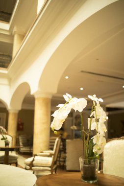 Konuklar gelmeden önce lüks beş yıldızlı otel düğün evlilik parti güzel çiçekler.