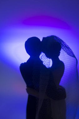 Düğün çifti pasta üstte plastik figürler smokin gece elbisesi, beyaz gelinlik peçesi.