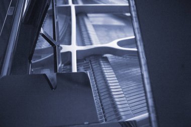 Konser salonu piyano dizeleri klasik müzik performans için hazır.