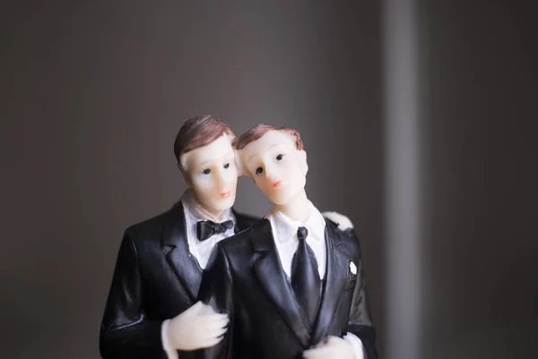 Kuchendeckel Homosexuell Hochzeitspaar Von Zwei Männlichen Bräutigamen Halten Romantische Ehe — Stockfoto