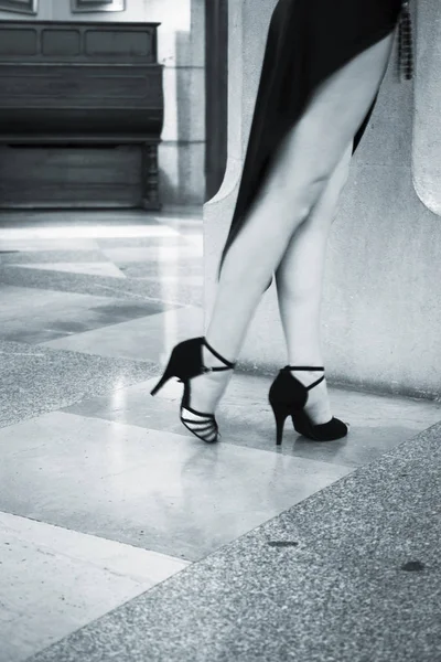 Hot Latin Legs