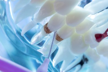 Diş diş fırça sağlıklı ipi eylem arasında plak kaldırmak için her diş temizleme Inter.