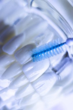 Diş diş fırça sağlıklı ipi eylem arasında plak kaldırmak için her diş temizleme Inter.