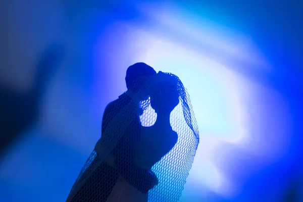 Mariage Couple Gâteau Mariage Figurines Plastique Avec Costume Soirée Smoking — Photo