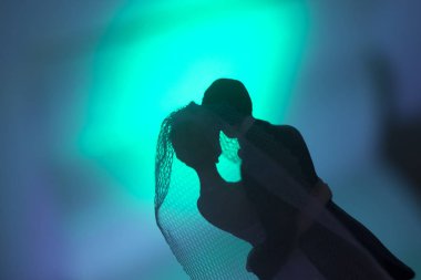 Düğün çifti pasta üstte plastik figürler smokin gece elbisesi, beyaz gelinlik peçesi.