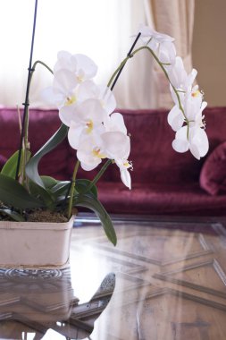 Çiçek düğün evlilik Lüks 5 yıldızlı otel resepsiyon odasında çiçek buket tanzimi.