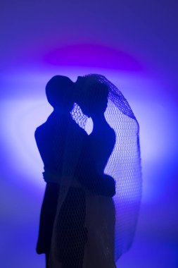 Düğün çifti pasta üstte plastik figürler smokin gece elbisesi, beyaz gelinlik peçesi.