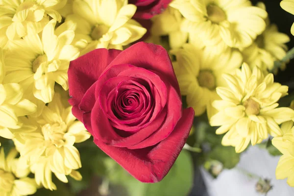 Bouquet Roses Rouges Fleurs Jaunes — Photo