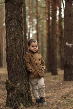 Yaz günü ormanda yürüyüş yapan sevimli küçük çocuk.