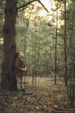 Yaz günü ormanda yürüyüş yapan sevimli küçük çocuk.