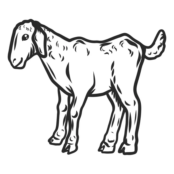 Icono de cabra niño, estilo dibujado a mano — Vector de stock