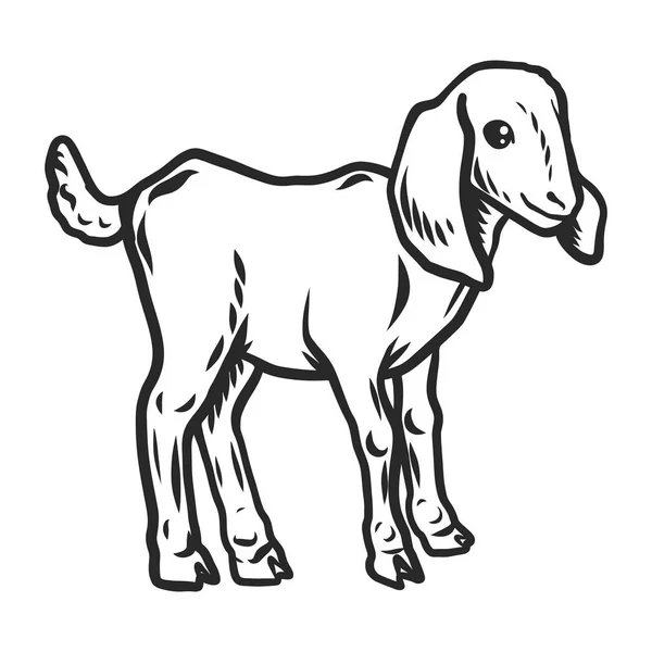 子羊のアイコン、手描きスタイル — ストックベクタ