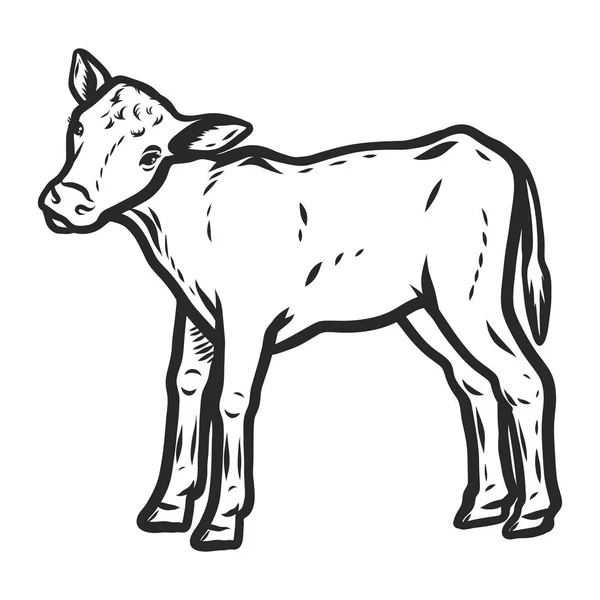 Icono de ternera, estilo dibujado a mano — Vector de stock