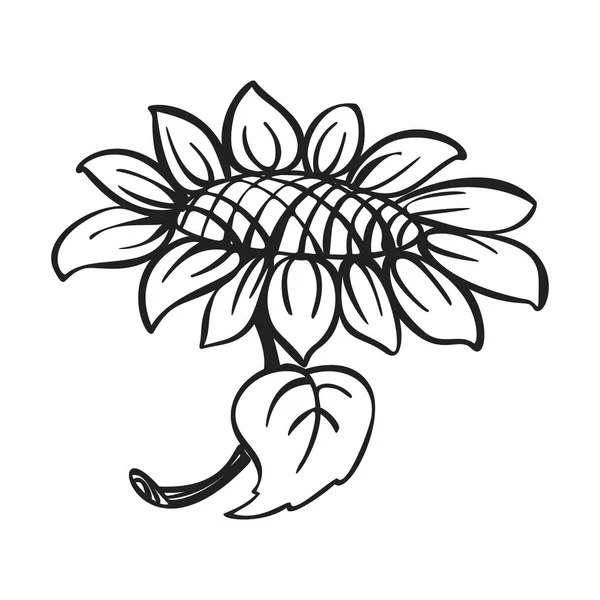 Download Sunflower icon cartoon. Single plant icon from the big ...