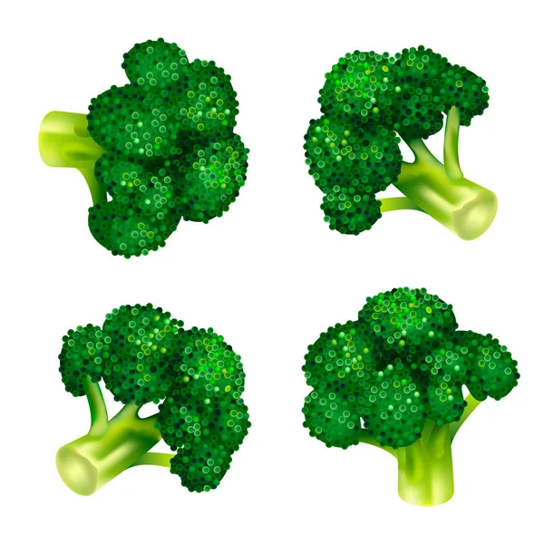 Green broccoli icon set, isometric style — Stock Vector