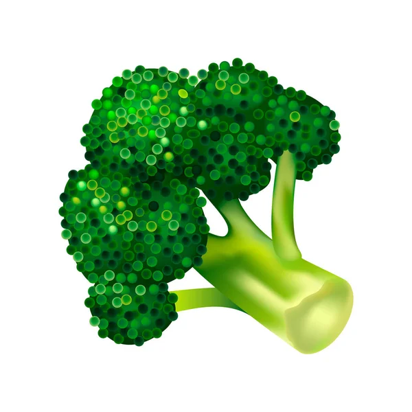 Broccoli cabbage icon, isometric style — Stock Vector