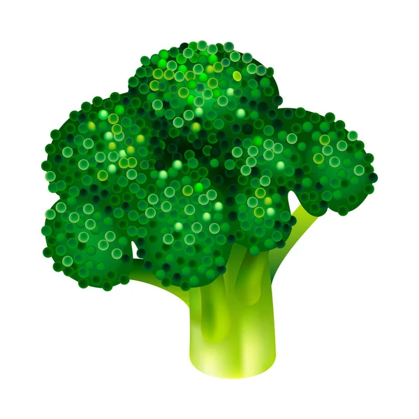 Tuin broccoli pictogram, isometrische stijl — Stockvector