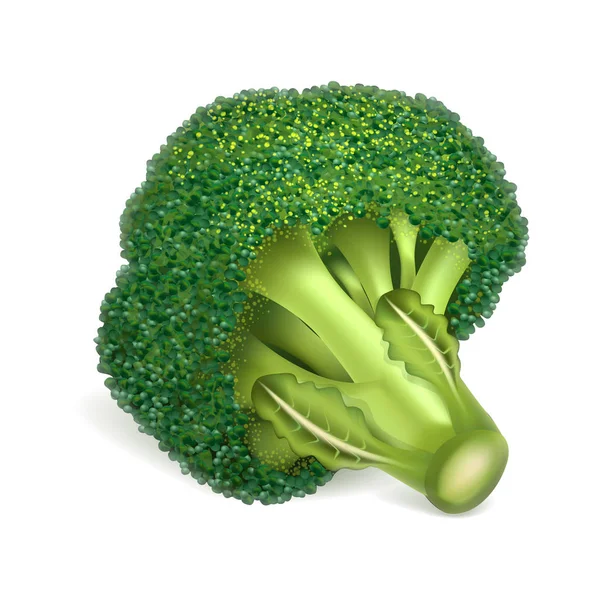 Eco broccoli pictogram, realistische stijl — Stockvector