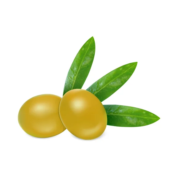 Ikone der frischen Oliven, realistischer Stil — Stockvektor