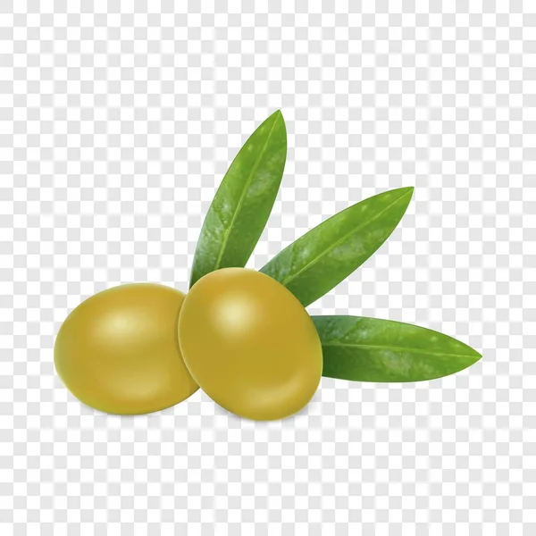 Icona olive fresche, stile realistico — Vettoriale Stock