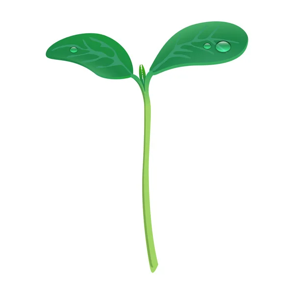 Crecer icono de la planta, estilo realista — Vector de stock