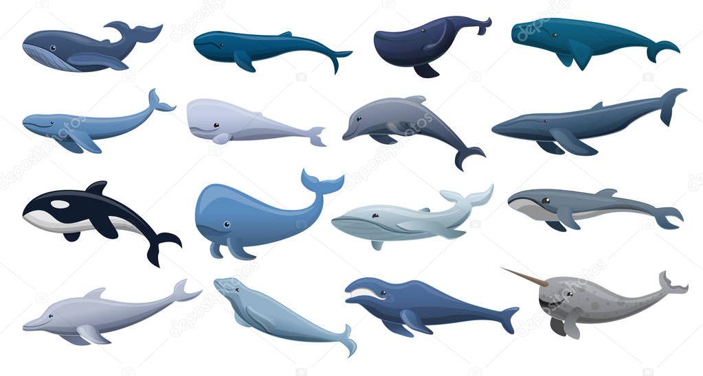 Whale icon set, cartoon style