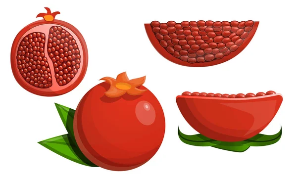 Granatapfel Icon Set, Cartoon-Stil — Stockvektor