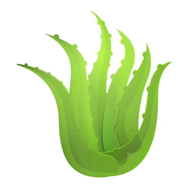 Aloe vera plant icon, cartoon style — Stock Vector