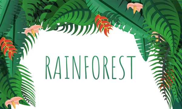 Rainforest concept banner, stile cartone animato — Vettoriale Stock