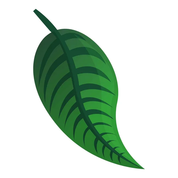 Icono de hoja tropical verde, estilo de dibujos animados — Vector de stock