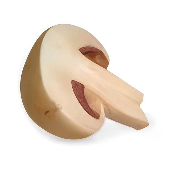Mezza icona champignon, stile realistico — Vettoriale Stock