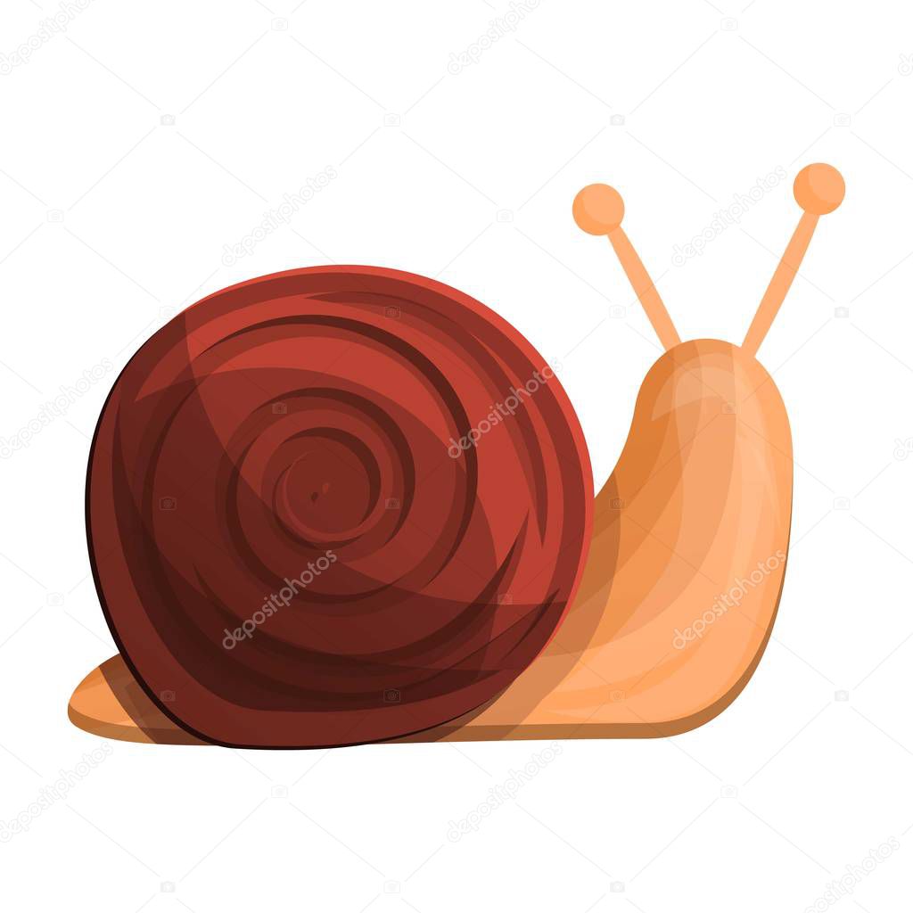 Snail icon, cartoon style