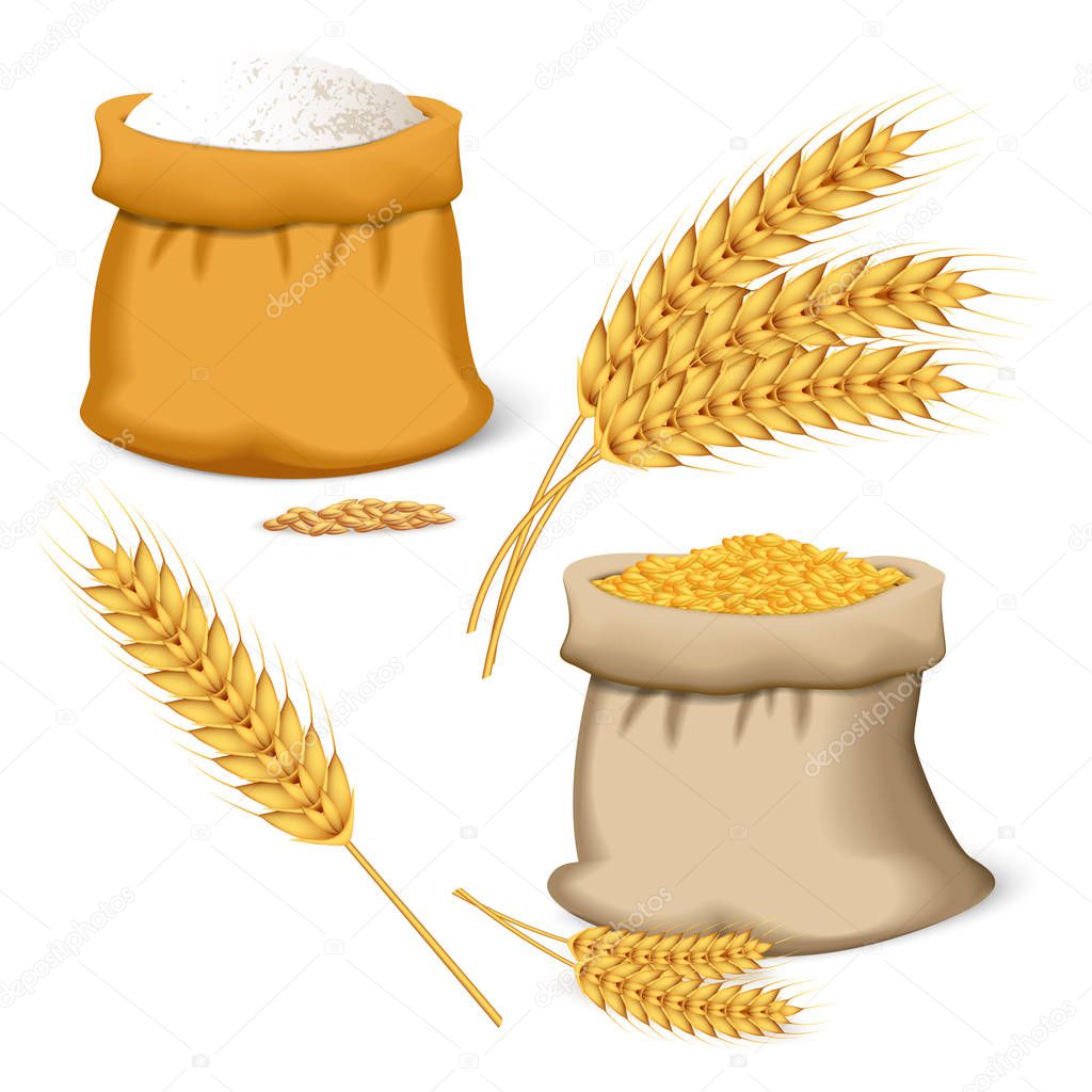 Barley wheat icon set, realistic style