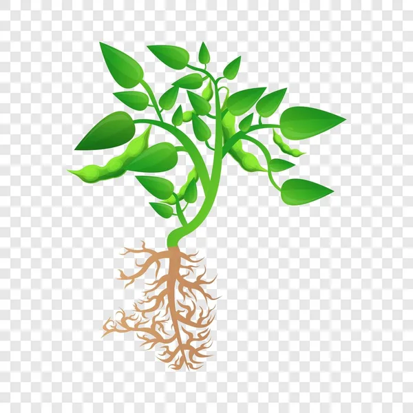 成熟したダイズ植物アイコン、漫画のスタイル — ストックベクタ