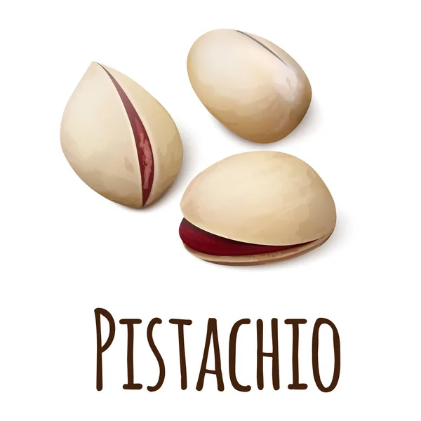 Icono de pistacho, estilo realista — Vector de stock