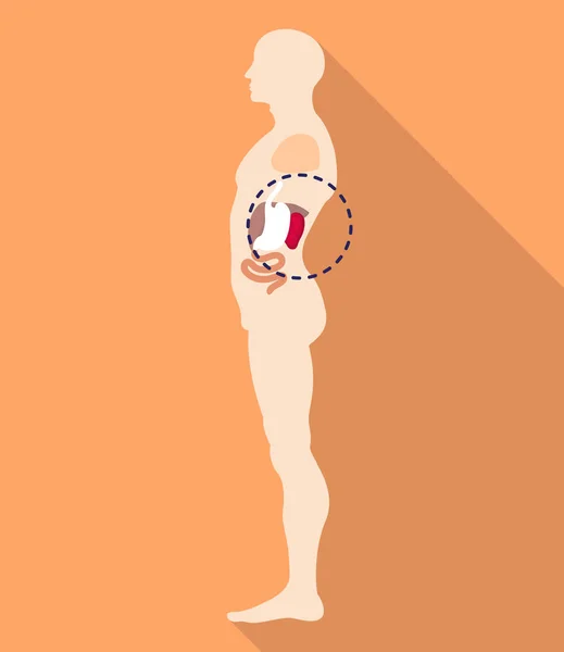 Icona della posizione del corpo milza, stile piatto — Vettoriale Stock