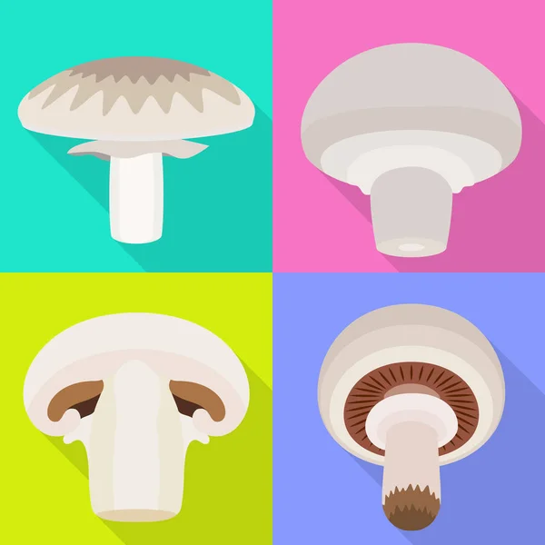 Champignon icons set, flat style — Stock Vector