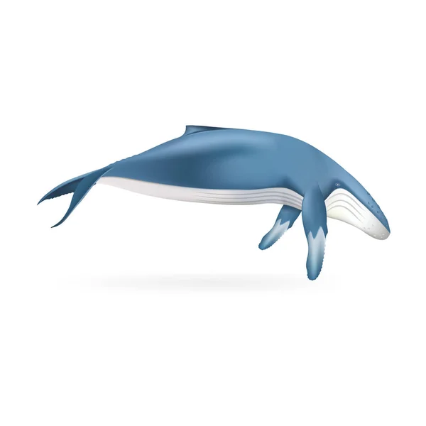シロナガスクジラのアイコン、現実的なスタイル — ストックベクタ