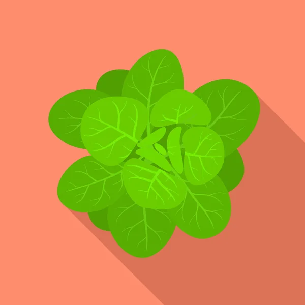Icône épinards verts, style plat — Image vectorielle