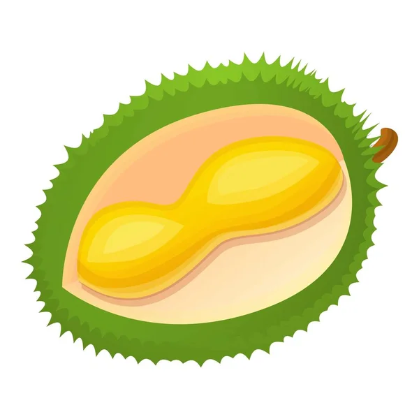 Cut part of durian icon, cartoon style — Stock Vector