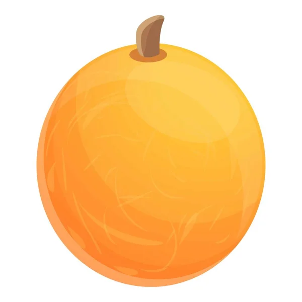 Icône de melon entier, style dessin animé — Image vectorielle