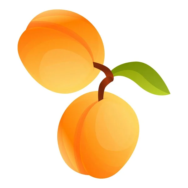 Abricot sur icône de branche, style dessin animé — Image vectorielle