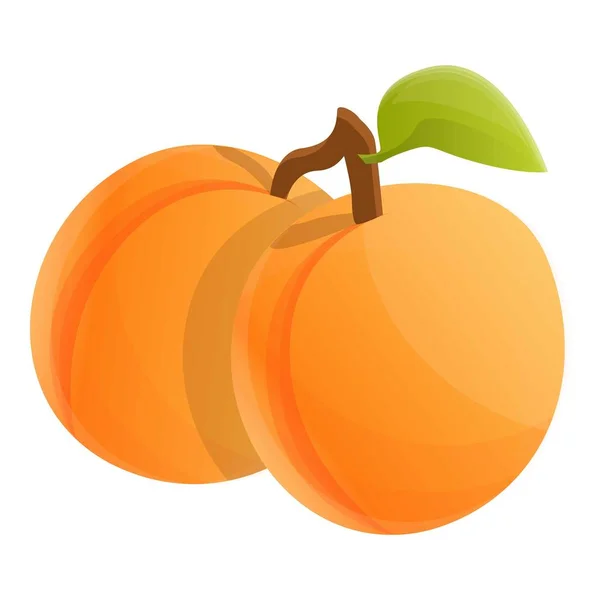 Twee hele abrikoos icoon, cartoon stijl — Stockvector