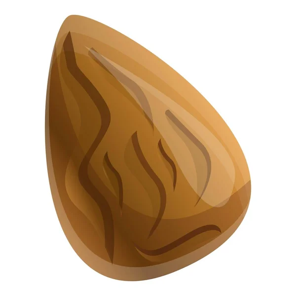 Aprikos frö ikon, tecknad stil — Stock vektor