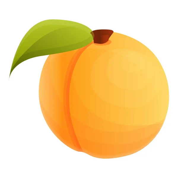 Ripe apricot icon, cartoon style — Stock Vector