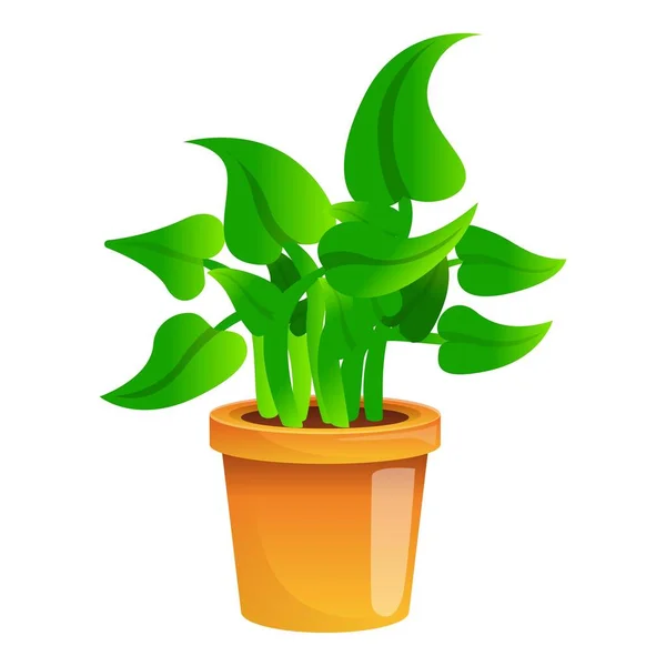 Botanik Zimmerpflanze Ikone, Cartoon-Stil — Stockvektor
